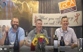 Lodi's Bechthold Vineyard, September 2014